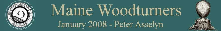 January 2008 - Peter Asselyn
