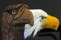 Thumb Eagle Cane 02